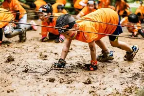 乐鱼体育在线-赛后CBA季后赛传出新动向，夏洛特黄蜂扳平良机，管理层表态——球迷炸锅，临场指挥获称赞